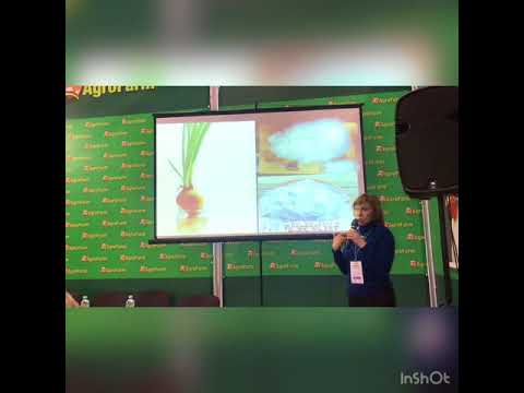 Видео: Отечественное пуховое кролиководство.