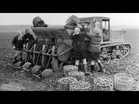 Видео: Опыт внедрения НОТ на посадке картофеля, 197х