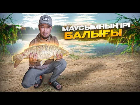 Видео: Сырдария өзенінің аяқ жағынан БАЛЫҚ АУЛАДЫҚ / 1-ші бөлім