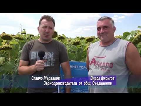 Видео: ТИМАК АГРО     - мнения на фермери от общ.Съединение