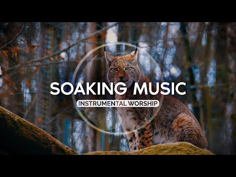 Видео: В Его Присутствии • Спокойная Музыка • Для Пребывания в Славе Бога