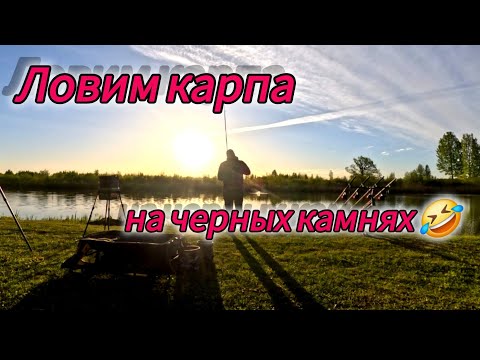 Видео: #природа #nature #ribalka #carpfishing2024 #carpfishing #newvideo #fishing2024