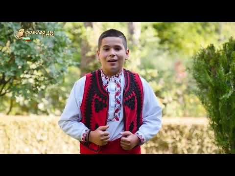 Видео: Културни ДЕЙЦИ на гр. Харманли - 2. част.