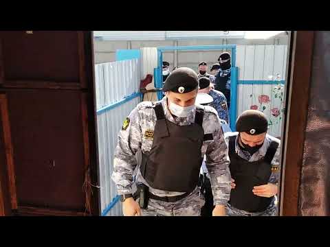 Видео: ПОКАЗАТЕЛЬНАЯ ПОРКА 2 !!!