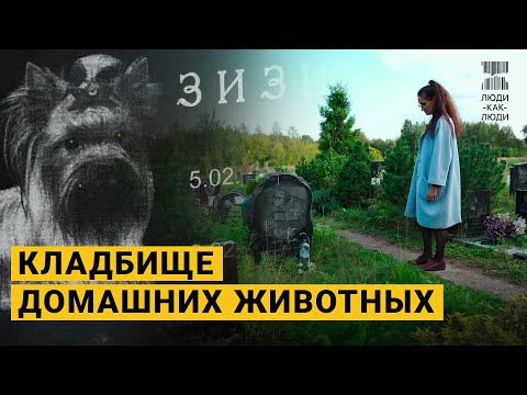 Видео: Я работаю на кладбище домашних животных.