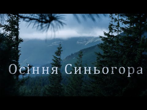 Видео: Триденний соло-похід вересневою Синьогорою