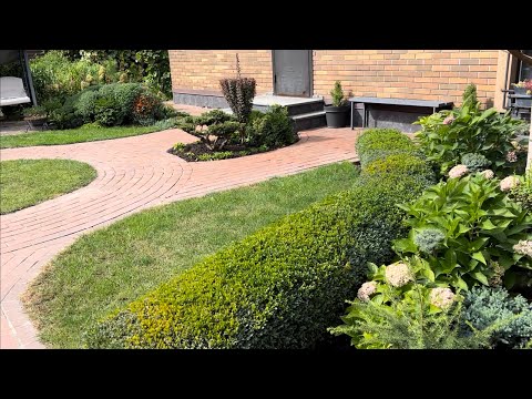 Видео: БЫЛО-СТАЛО: НАВОДИМ ПОРЯДОК НА НЕБОЛЬШОМ УЧАСТКЕ С ДЕКОРАТИВНЫМИ РАСТЕНИЯМИ И В УЛИЧНЫХ ВАЗОНАХ!