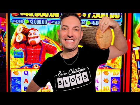 Видео: Проводим время с Бобрами 🦫… и ЗАРАБАТЫВАЕМ!