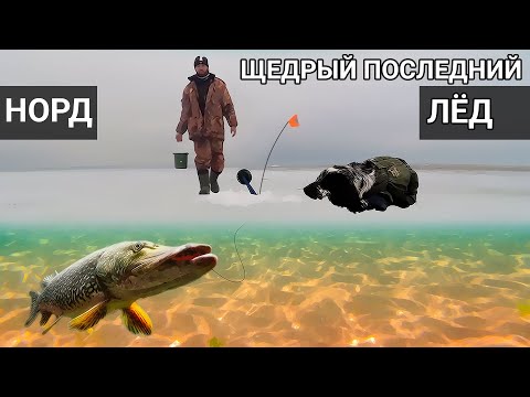 Видео: Щедрый весенний последний лед. Рыбу поймали