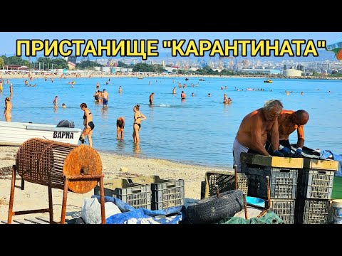 Видео: Рибарско пристанище "КАРАНТИНАТА"! Какво ловят рибарите през месец август?