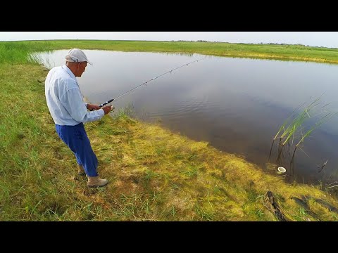 Видео: Әкеммен шортан ауладық