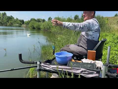 Видео: Терновиця. А що по рибі ?