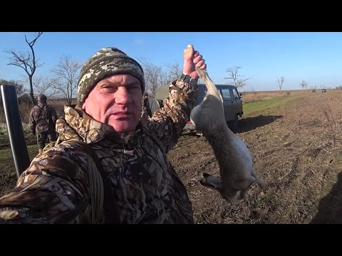 Видео: ОБЛАВА НА ЗАЙЦА от первого лица. Коллективная охота на зайца. Hare hunting first person.