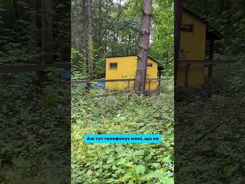 Видео: Оце так