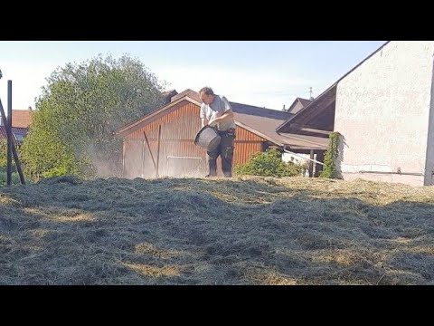 Видео: Заготовка кормов для коров сенаж🐄 Закрываем сенажную яму