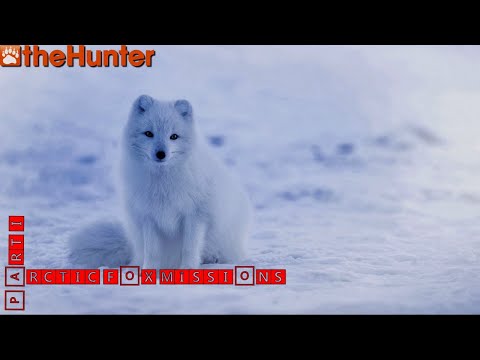 Видео: ♢ theHunter Classic ♢ Arctic Fox missions ♢ part I ♢ Всё-таки "песец" или "писец"? ♢