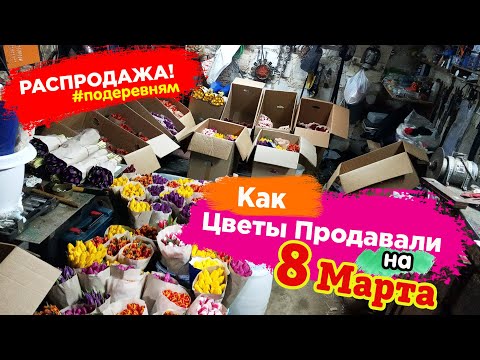 Видео: Бизнес на Тюльпанах 8 Марта. Продажа Цветов на Улице.#15