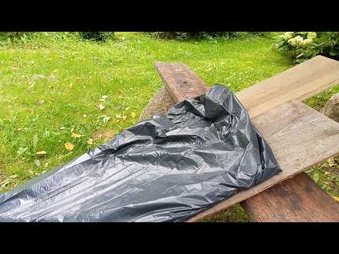 Видео: Как быстро перебрать чернику.