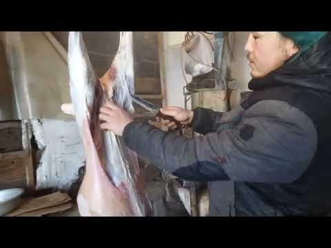 Видео: Қой сойудың тәсілдерін меңгеру әрбір еркектің қолынан келуі керек Сұлтаннан