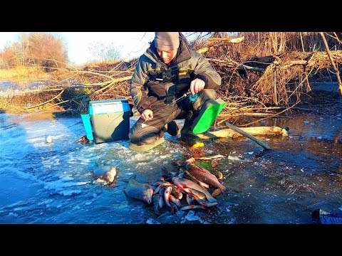 Видео: ПЕРШИЙ ЛІД 2022-2023 Ловимо Крупну Рибу в Коряжнику. Зимова рибалка