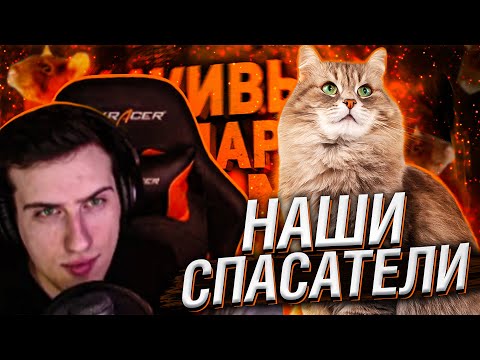 Видео: КАК КОШКИ ТАЙНО СПАСАЮТ НАМ ЖИЗНЬ? // РЕАКЦИЯ HELLYEAHPLAY