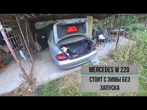 Видео: Mercedes-Benz S-Class W220 стоит пол года без запуска