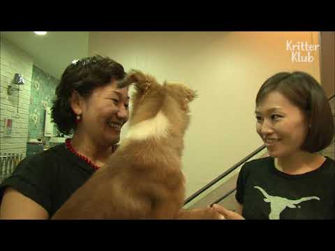 Видео: «Я живу с ..» (Часть 2) | Животное в кризисе EP150