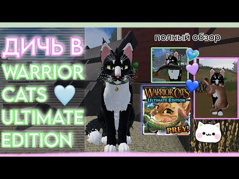 Видео: |LEO - MOON| 🐟ДОЛГОЖДАННАЯ ДИЧЬ в Warrior Cats Ultimate Edition - Roblox🐇