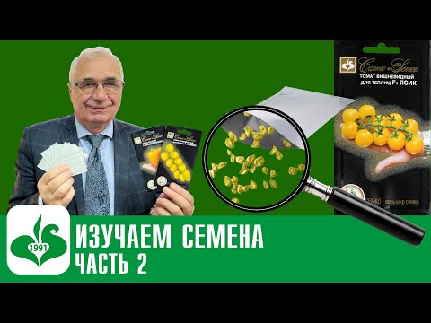 Видео: КАК ПРАВИЛЬНО ПРОРАЩИВАТЬ СЕМЕНА?