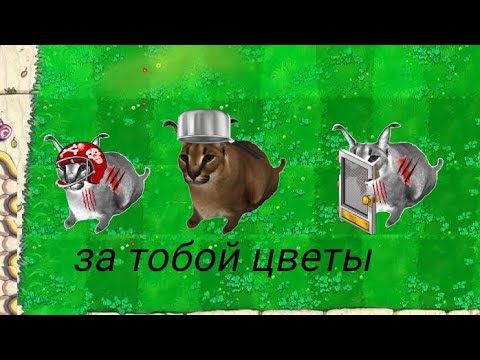 Видео: ЗА ТОБОЙ ЦВЕТЫ ФАН АНИМАЦИЯ (ФУЛЛ ВЕРСИЯ)