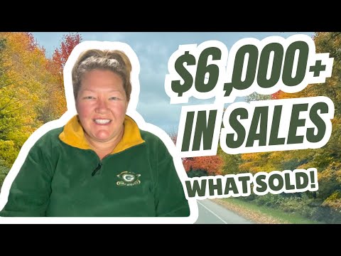 Видео: Что продано в октябре на 6000 долларов на 4 платформах #чтопродано #продано #продажи #реселлер