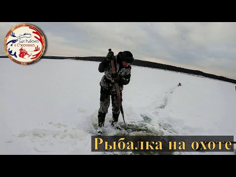 Видео: Промысловый сезон охоты в Якутии 2020. Рыбалка на охоте. Соболь Баргузинский.