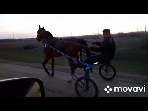 Видео: ваня пласто