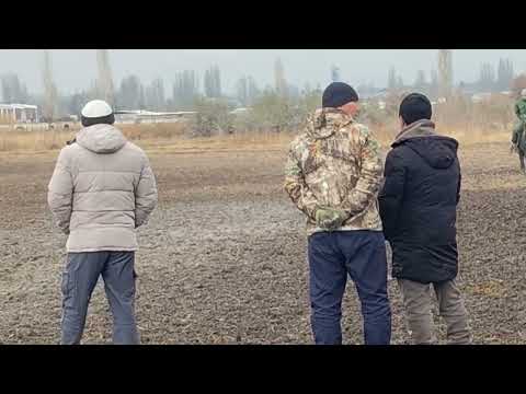 Видео: Жергетал Камандасы
