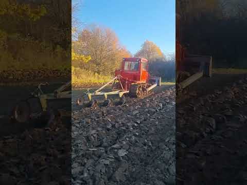 Видео: Orka jesienna дт75 2025