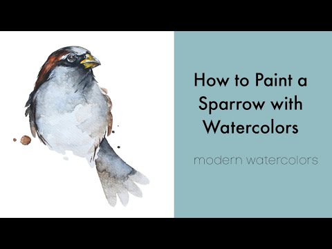 Видео: Как нарисовать воробья акварелью