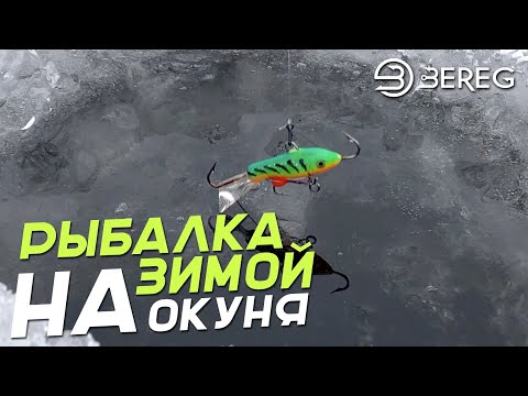 Видео: Рыбалка зимой на Окуня! Ловля на балансир и безмотылку.