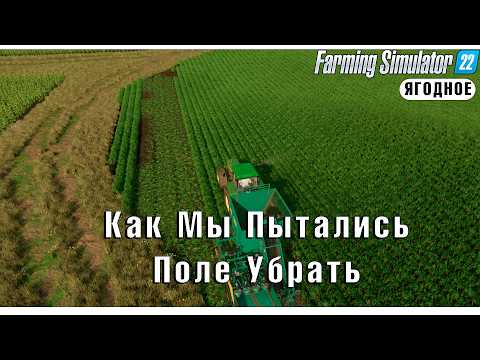 Видео: Farming Simulator 22: Сорняки и Пастернак ч.9