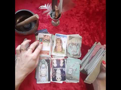 Видео: Поток о Любви и о Мужчинах. 