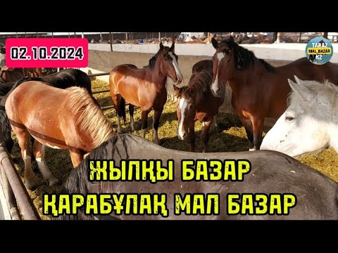 Видео: ЖЫЛҚЫ БАЗАР / ҚАРАБҰЛАҚ МАЛ БАЗАР 02.10.2024