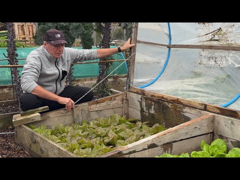 Видео: Никогда не прекращайте сажать!