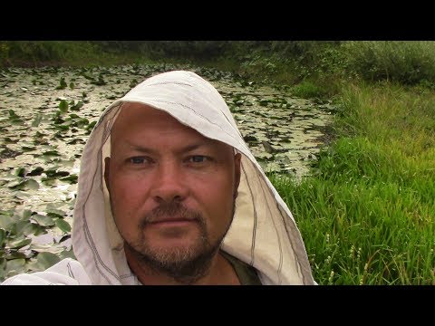 Видео: Сплав по реке Медведица   29 дней одиночного плавания  4 ЧАСТЬ