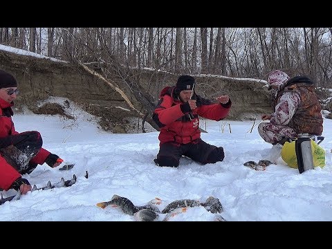 Видео: ПОПАЛИ НА ГОРБАЧЕЙ В КОРЯЖНИКЕ!!!Крупный окунь! Рыбалка! Ловля на безмотылку!