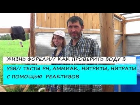 Видео: ЖИЗНЬ ФОРЕЛИ// КАК ПРОВЕРИТЬ ВОДУ В УЗВ// ТЕСТЫ PH //АММИАК// НИТРИТЫ//НИТРАТЫ//ТЕСТЫ//РЫБА