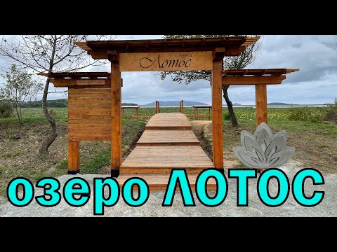 Видео: Озеро ЛОТОС