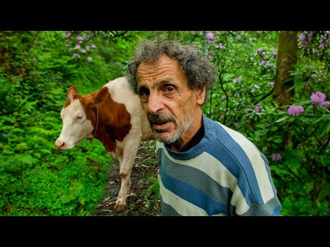 Видео: Счастливая жизнь в деревне | Документальный