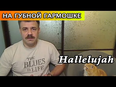 Видео: Hallelujah на губной гармошке