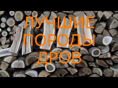 Видео: Какие дрова лучше для печи???