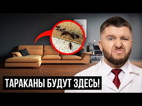 Видео: В ЭТИХ квартирах будут ТАРАКАНЫ! Причина появления тараканов в 2024 году