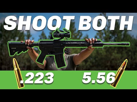 Видео: Что такое 223 Wylde? (Стоит ли оно того?)